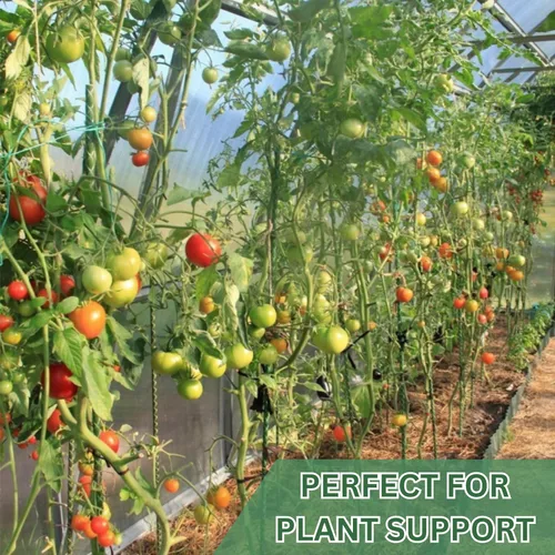Vista 2 de Juego de 20 estacas de fibra de vidrio ecológicas de 3 pies (opciones de altura/cantidad), duraderas, ligeras, tomates, árboles, fresas, plantas