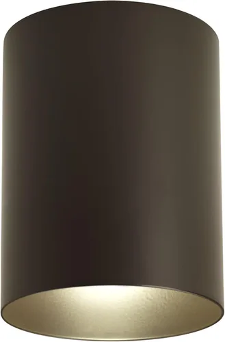 Vista 4 de Progress Lighting Lámpara de techo de 5 pulgadas cilíndrica para exterior, lámpara de techo empotrada moderna de 1 luz, iluminación