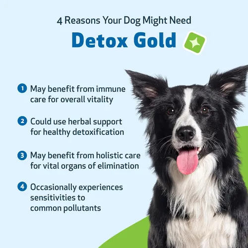 Vista 3 de Pet Wellbeing Detox Gold para perros - Suave apoyo de desintoxicación y eliminación, cuidado del sistema inmunológico, ortiga, cardo bendito, raíz