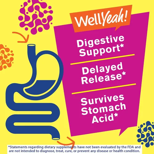 Vista 3 de WellYeah Gomitas de probióticos para niños, 10 mil millones de UFC, para la salud intestinal, la salud inmunológica y el apoyo digestivo, suplemento
