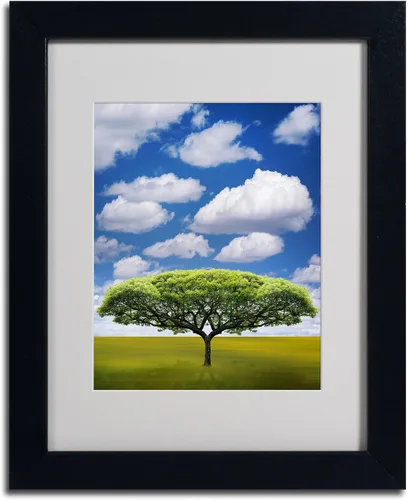 Vista 2 de Marca Fine Art improbable Espacio Abierto por Philippe Sainte-Laudy Canvas Wall Art