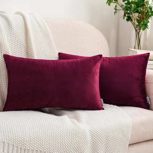 Vista 52 de HWY 50 fundas de almohada decorativas de terciopelo sólido para sofá, sala de estar., Terciopelo, gris, 20x20 pulgadas