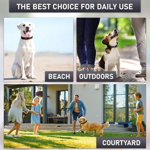 Vista 7 de Collar de perro ajustable con código QR identificación adjunta, fabricado en Estados Unidos, collar de perro resistente al agua con hebilla