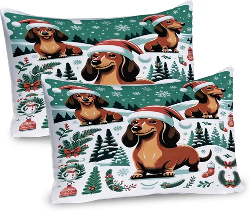 Vista 59 de Lunarable Juego de 2 fundas para almohada de otoño, tema vintage otoñal con estilo granja, ilustración de flores silvestres, artículo de cama