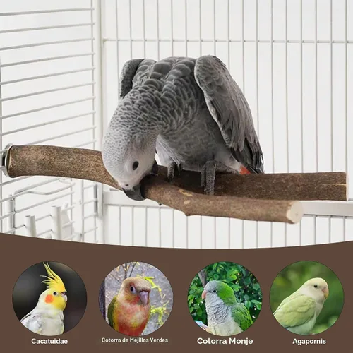 Vista 8 de Juego de 6 perchas para pájaros