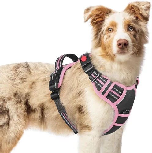 Vista 60 de Rabbitgoo - Arnés para perro de tamaño pequeño, arnés para mascotas sin tirones con 3 hebillas, chaleco acolchado suave ajustable con mango