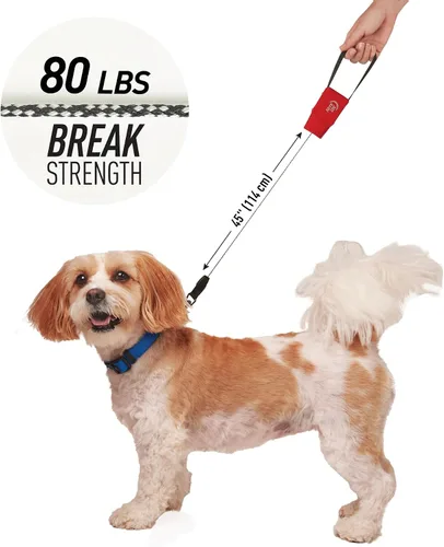 Vista 4 de Nite Ize RadDog - Correa de bolsillo retráctil, duradera y cómoda, correa retráctil compacta para pasear al perro, portátil y resistente para el uso