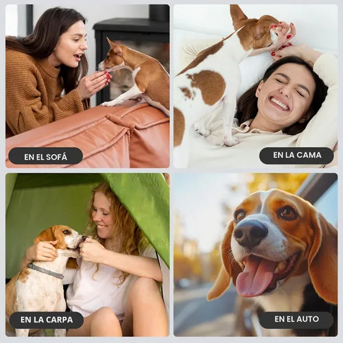 Vista 6 de wegreeco Pañales para perros pequeños machos, bandas reutilizables para el vientre para perros machos, pañales lavables para cachorros machos