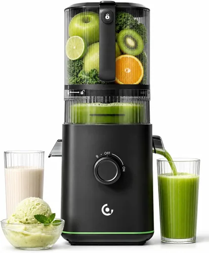 Vista 11 de AMZCHEF Exprimidor de prensa en frío, Juicer lento de autoalimentación de 8-Plateado