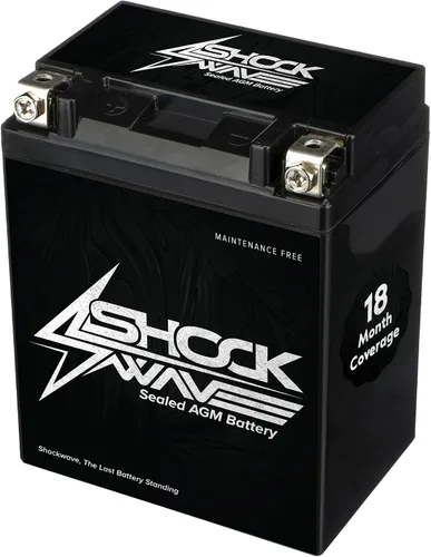 Vista 6 de SHOCKWAVE Batería AGM YTX5L-BS 12V 4AH 70CCA – Energía libre de mantenimiento – Compatible con Honda CRF50, Yamaha TTR110, Kawasaki KLX110, TaoTao