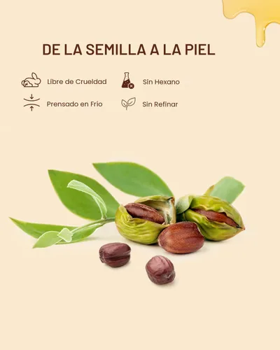 Vista 4 de Yoken Aceite de jojoba orgánico USDA prensado en frío, 8 onzas líquidas, 100% puro y natural, aceite de jojoba sin refinar para masajes faciales
