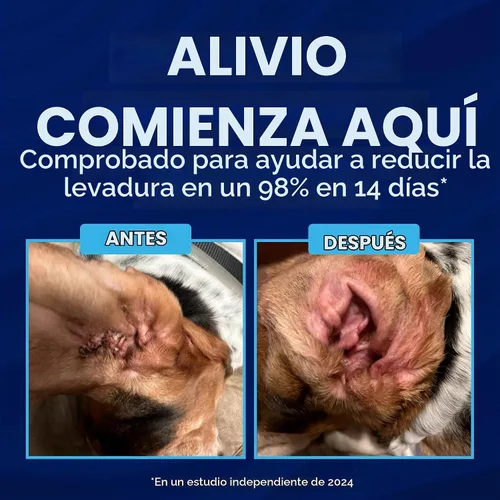 Vista 4 de TropiClean OxyMed - Limpiador enzimático de oídos para perros, recomendado por veterinarios, 4 onzas Limpiador de oídos enzimático