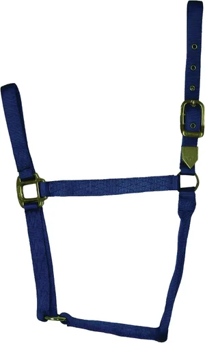 Vista 20 de Hamilton Caballo de nailon de 1 pulgada, tamaño pequeño (500-800 libras), azul baya