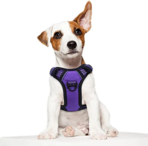 Vista 41 de BUMBIN Arnés táctico para perros pequeños sin tirones, famoso arnés de TIK TOK sin tirones para cachorros, arnés reflectante inteligente para Negro