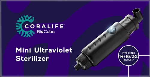 Vista 9 de Coralife Esterilizador ultravioleta Biocube Mini, lámpara UV de 5 vatios