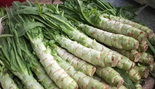 Vista 2 de Semillas Espárragos Lechuga Celtuce - 65 Días para Ensalada - Vegetales de reliquia - Sin OGM