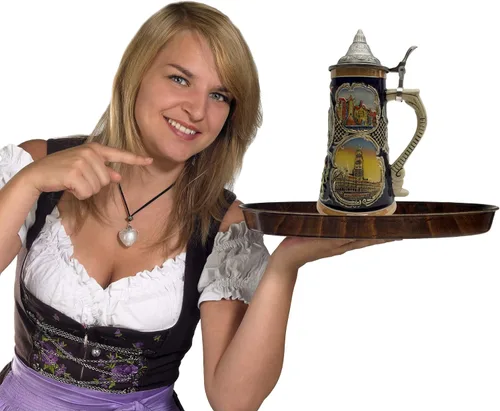 Vista 6 de Essence of Europe Gifts Jarra de cerveza alemana con tapa de 1 litro – Neuschwanstein Village Scenes Beer Steins Mug – Jarra Cervecera Alemana Stein