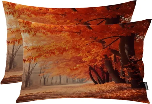 Vista 20 de Shrahala Abstract Art Modern Aesthetic Decorative Pillow Covers, Fluid Forms Minimalist Throw Pillow Cover Blended Hidden Zipper Cushion Cases for
