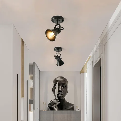 Vista 5 de KEESFU Iluminación de pista mini industrial para techo, luces de punto negras para interiores con cabezal de luz ajustable multidireccional, foco