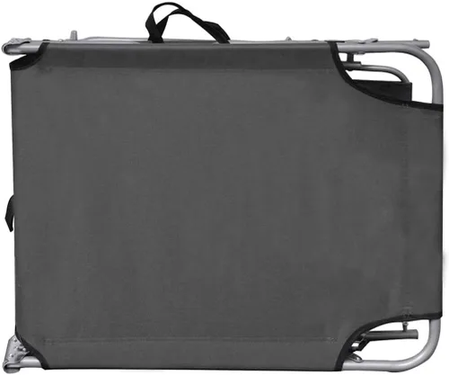 Vista 3 de vidaXL Tumbona plegable con toldo, color gris acero