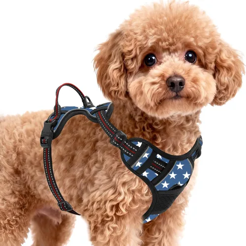 Vista 27 de BARKBAY Arnés para perro sin tirones para perros pequeños, ajustable, reflectante, cómodo, sin estrangulamiento, resistente, perfecto para Negro