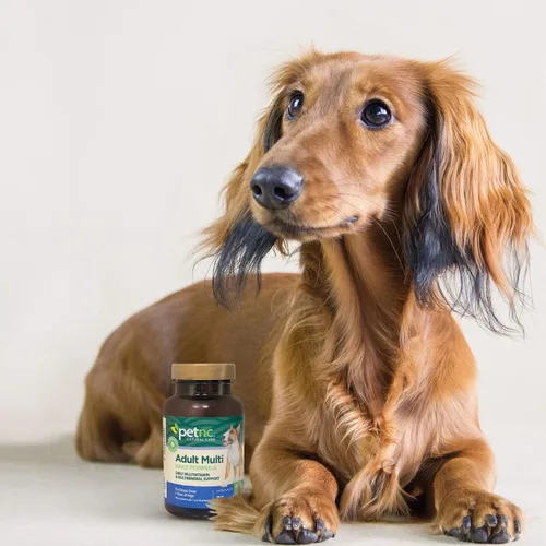 Vista 5 de Petnc - Multimasticables para adultos (75 unidades), soporte diario multivitamínico y multimineral para perros, incluye zinc, magnesio y más, apoya