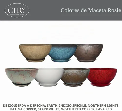 Vista 6 de GROWSCAPE Rosie Planter Bowl, with Drainage and Saucer, 10” Earth TIERRA