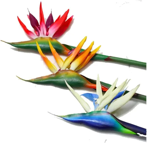 Vista 4 de Flor artificial de pájaro del paraíso artificial Strelitzia Reginae planta de seda artificial para oficina en casa, 1 unidad (azul)