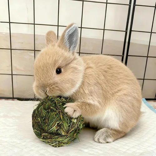 Vista 5 de PINVNBY 2 bolas de heno Timothy de conejo, juguetes naturales para masticar, bola de hierba, dientes de animales pequeños, bola de juego tejida