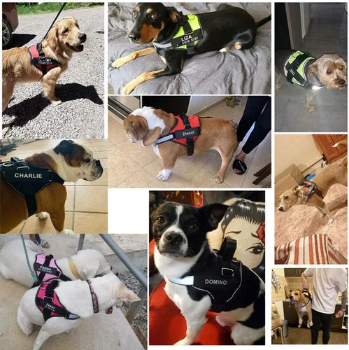 Vista 4 de HOTGOL Arnés personalizado para perro sin tirones con nombre personalizado y etiqueta de número de teléfono, chaleco reflectante transpirable Negro