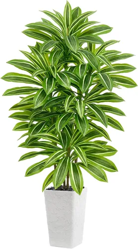 Vista 19 de Árbol de Dracaena artificial, plantas artificiales de 5 pies, maceta Verde-negro Pot
