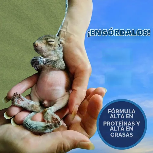 Vista 7 de Sustituto de leche – Fórmula saludable en polvo ideal para ardillas bebés, conejos, zarigüeyas, mapaches 100% instantánea para mezclar proteínas