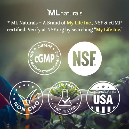 Vista 2 de ML Naturals Boswellia 500mg (por porción) - 65% de ácidos boswélicos - 120 cápsulas vegetales - Apoya la función saludable de las articulaciones
