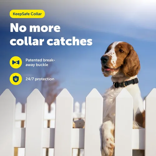Vista 2 de Collar de seguridad KeepSafe Break-Away de PetSafe - Protege a los perros de accidentes de collar - Hebilla patentada de desenganche - Diseño