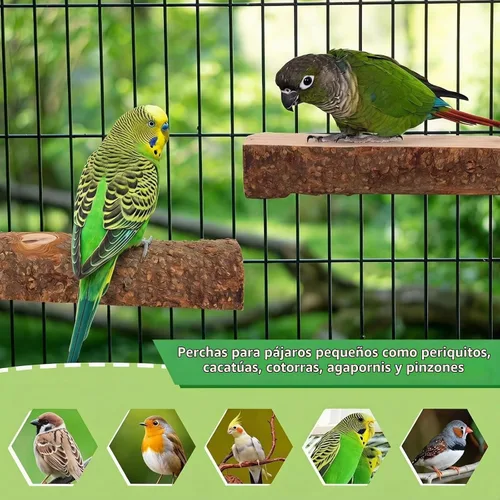 Vista 7 de Plataforma de perca de pájaro de madera de manzana natural de 2 Se adapta a loros pequeños (conejos, conures) Parte superior plana y parte