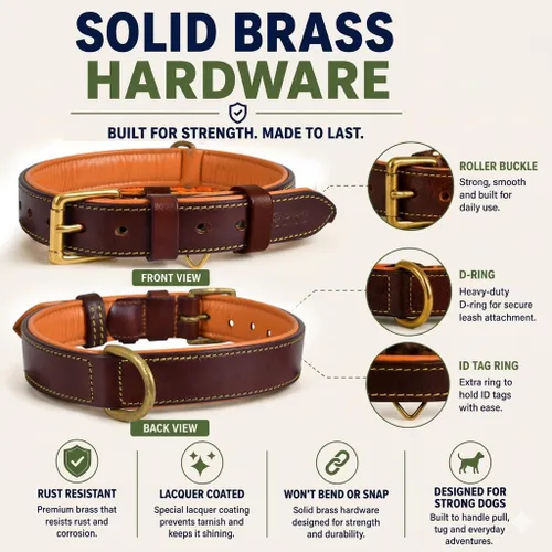 Vista 5 de Collar de perro de cuero para perros medianos, marrón, 1 pulgada de ancho, cuero genuino de grano completo, resistente con acolchado interior suave