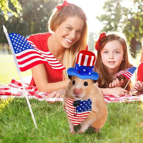 Vista 4 de 4 piezas de disfraz para el Día de la Independencia de las mascotas, sombrero de conejillo de indias para el 4 de julio, bandana triangular