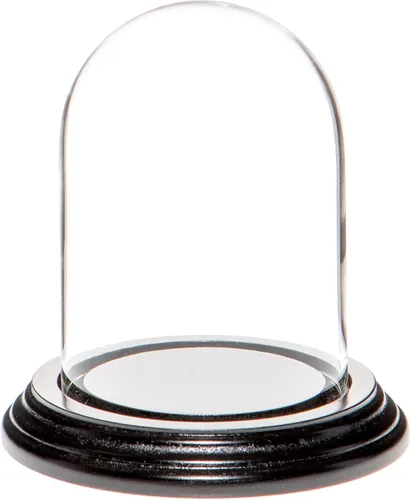 Vista 12 de Plymor campana protectora de cristal para exhibición, de 3 x 4 pulgadas, abovedada