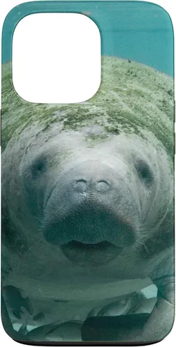 Vista 10 de Manatee Case for iPhone 17