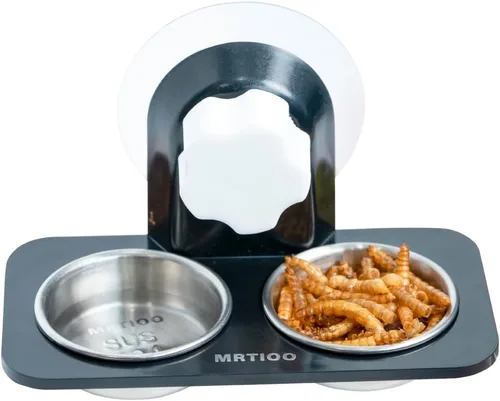 Vista 3 de Repisa de alimentación de Gecko con cresta [ventosa], con 10 tazas de acero inoxidable para alimentos de 0.5 onzas, cuencos de comida para reptiles