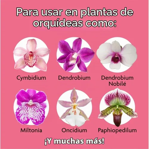Vista 4 de Miracle-Gro Orchid Plant Food Mist 8 onzas (paquete de 6)