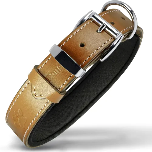 Vista 34 de Filbert Collar de cuero para perro, collar de cuero genuino para perros pequeños, estampado de patas en relieve con hebilla, grano completo curtido