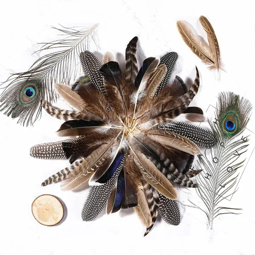 Vista 4 de Holmgren 24 piezas de plumas naturales al por mayor - 6 estilos surtidos de pavo real, faisán, pavo para manualidades, joyería DIY, sombreros