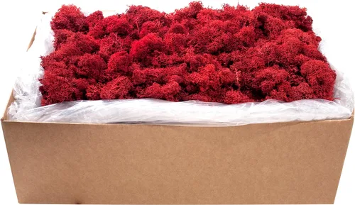 Vista 20 de Super Moss (23164) Musgo de reno preservado, fucsia, 2 onzas Musgo preservado suave, decoración del hogar, manualidades y terrarios, diseño