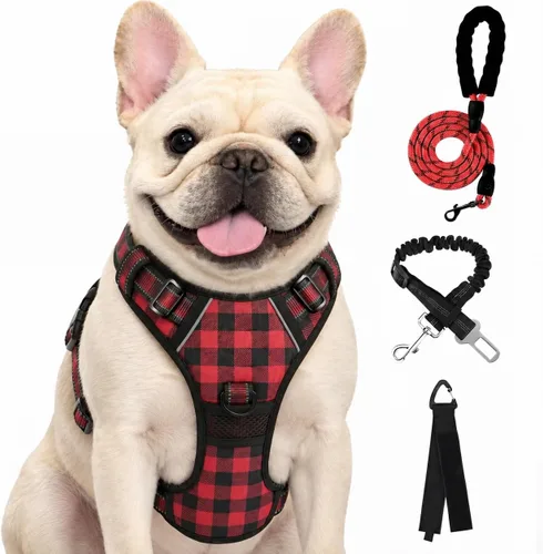 Vista 26 de FURRYFECTION - Arnés para perro a cuadros con correa y cinturón de Rosa