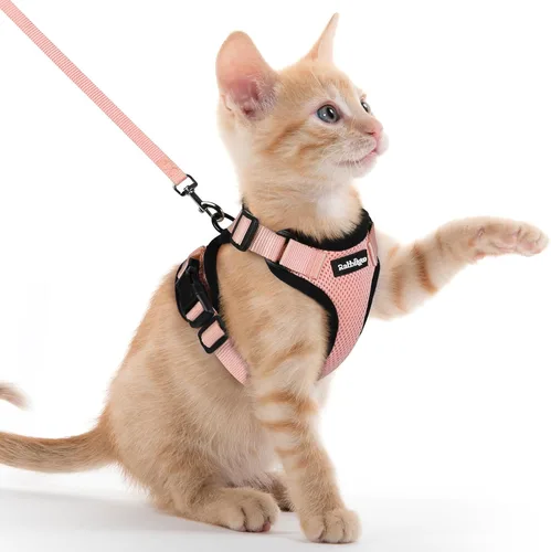 Vista 43 de rabbitgoo Cat Harness and Leash Set, Escape Proof Vest, XXS, Berry Pounce Soft Breathable Mesh, No-choke Adjustable Fit, Snap Buckles, Sturdy