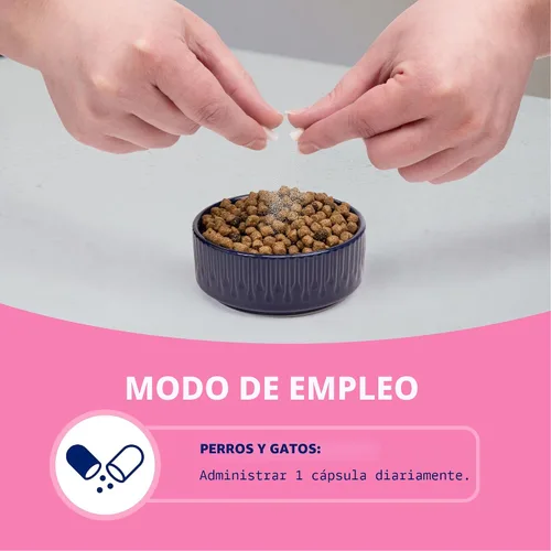 Vista 6 de Nutramax Proviable Probióticos para Perros y Gatos, Suplemento Diario para la Salud Digestiva con Múltiples Cepas de Bacterias, Probióticos