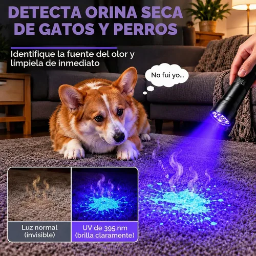 Vista 9 de 395nm UV Light Black Light Flashlight for Pet Urine Detection