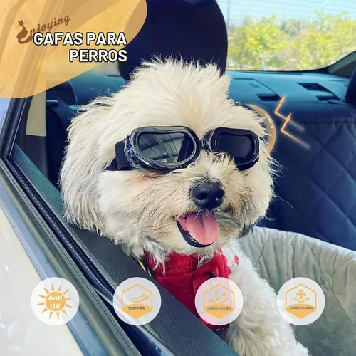 Vista 3 de Antiparras anteojos de sol para gatos o perros pequeños, Negro Negro clásico