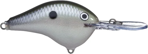 Vista 3 de Rapala Inmersiones Rapala a Shad